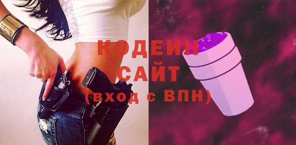 хмурый Гусев