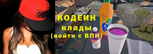 хмурый Гусев