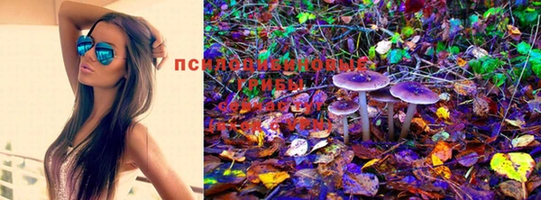 мдпв Гусиноозёрск