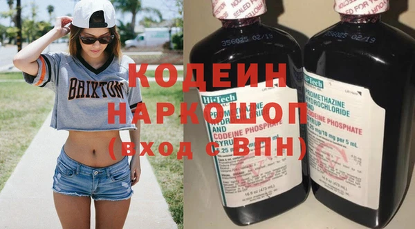 хмурый Гусев