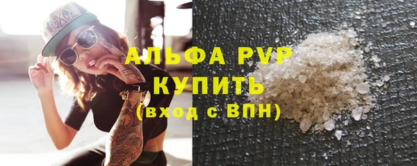 хмурый Гусев