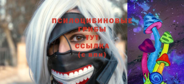 прущий лед Надым