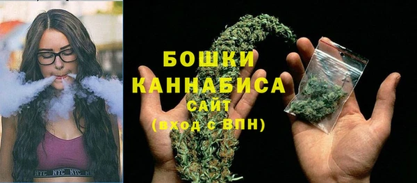 хмурый Гусев