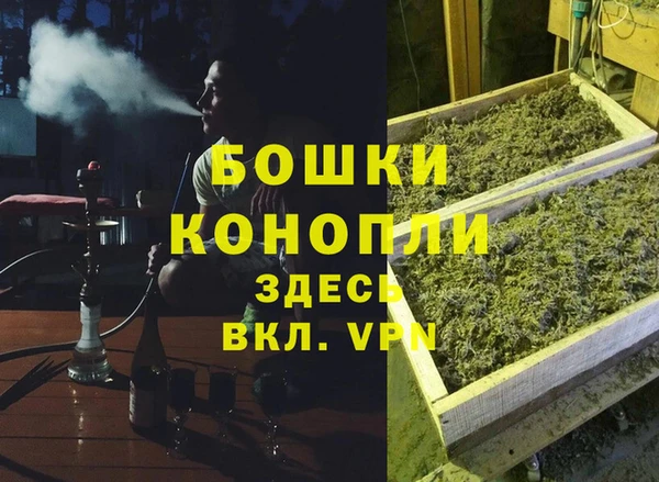 хмурый Гусев