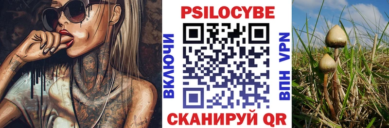 площадка состав Первомайск Псилоцибиновые грибы Psilocybine cubensis